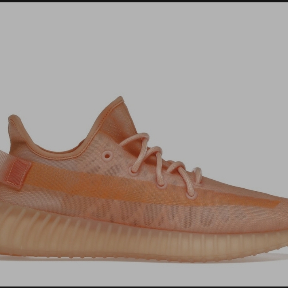 Yeezy boost 350 v2 mono clay